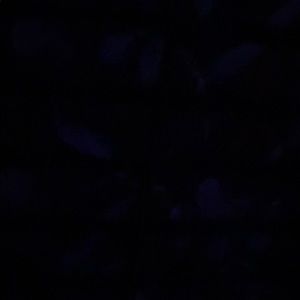 Meet your Posher, Carlos